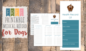 Free Prinable Medical Record for Dogs2 - Tastefully Eclectic