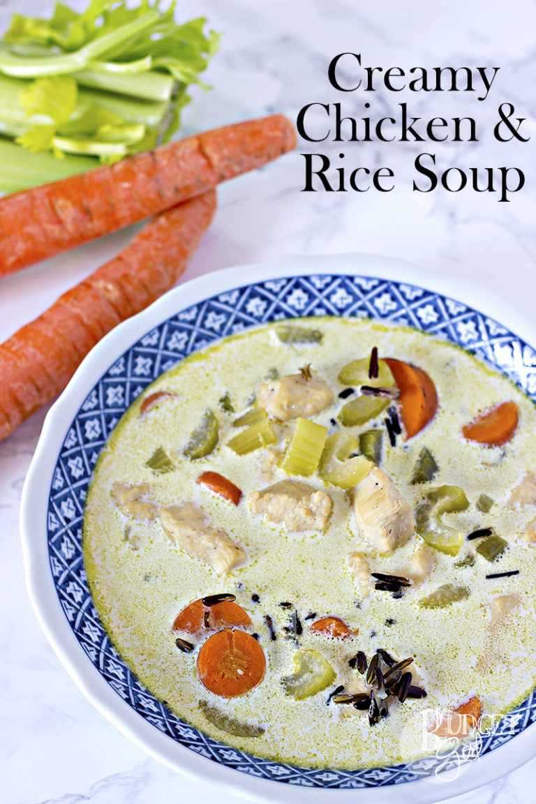 creamy-chicken-rice-soup-recipe-wonkywonderful