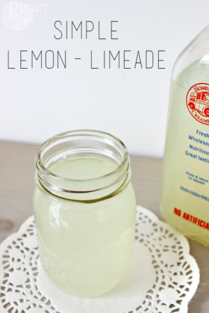 Simple Lemon-Limeade - Tastefully Eclectic